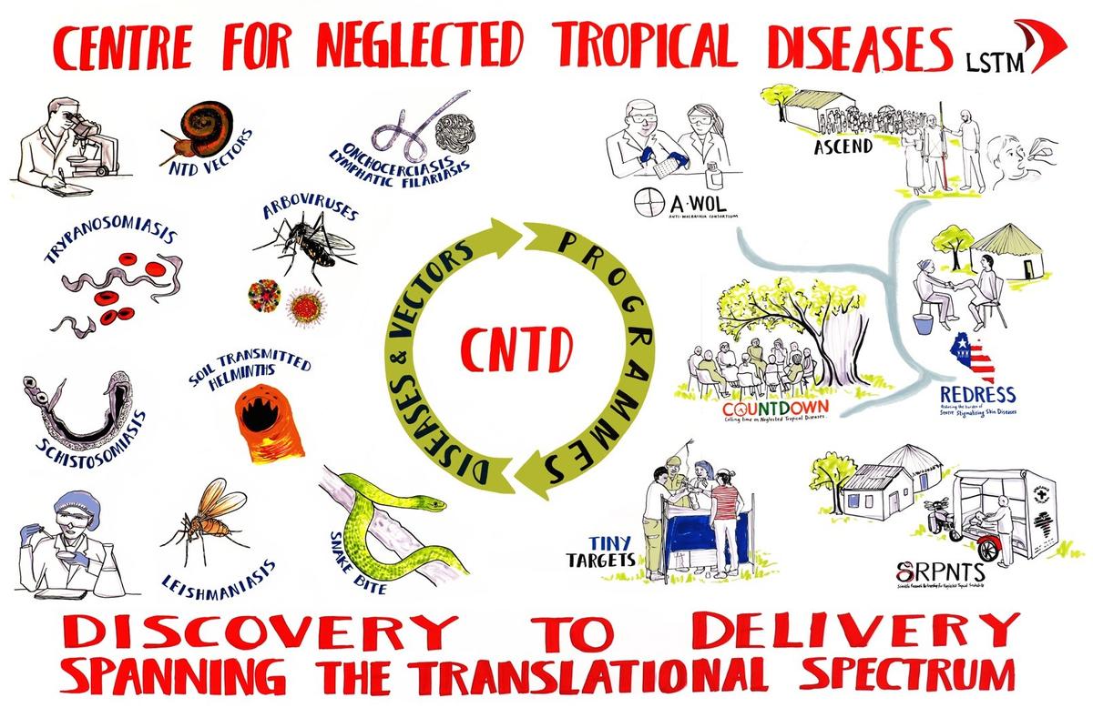 Centre for Neglected Tropical Disease LSTM